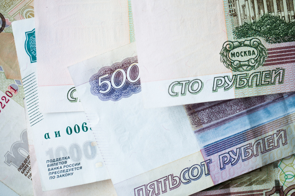 Больше половины петербуржцев готовы поддержать законопроект о выплатах домохозяйкам